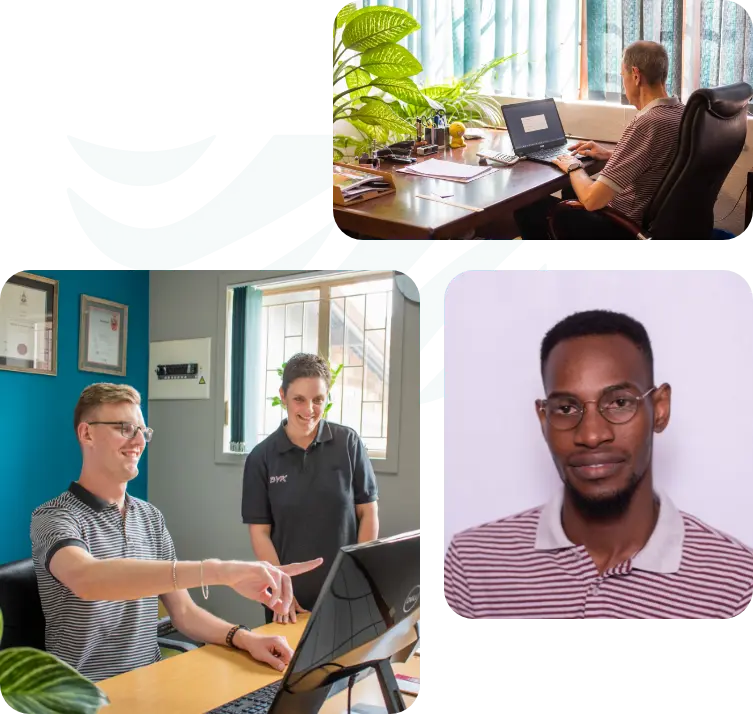 Collage image of BVK employees